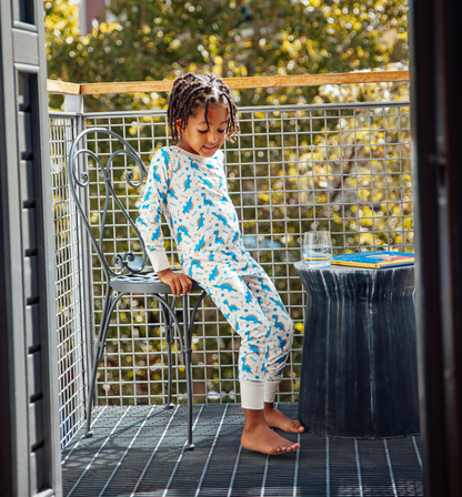 Long Sleeve Toddler Pyjamas Dino Rawr